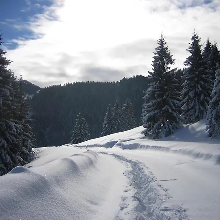 Affittacamere Fruehstueckspension Lavendel