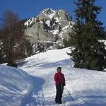 Penzion Fruehstueckspension Lavendel 3*